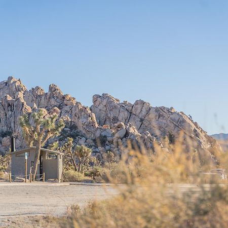 New Property! The Cactus Villas At Joshua Tree National Park - Pool, Hot Tub, Outdoor Shower, Fire Pit Twentynine Palms Exteriör bild