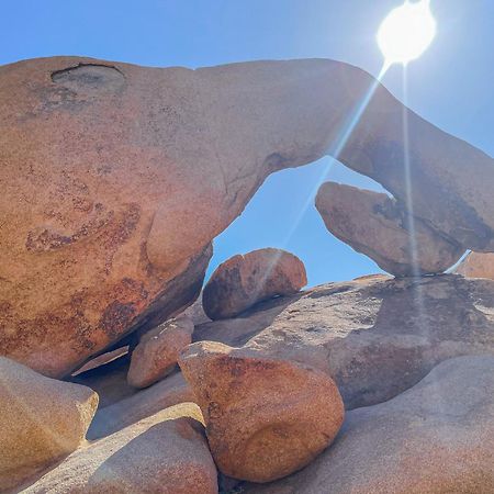 New Property! The Cactus Villas At Joshua Tree National Park - Pool, Hot Tub, Outdoor Shower, Fire Pit Twentynine Palms Exteriör bild