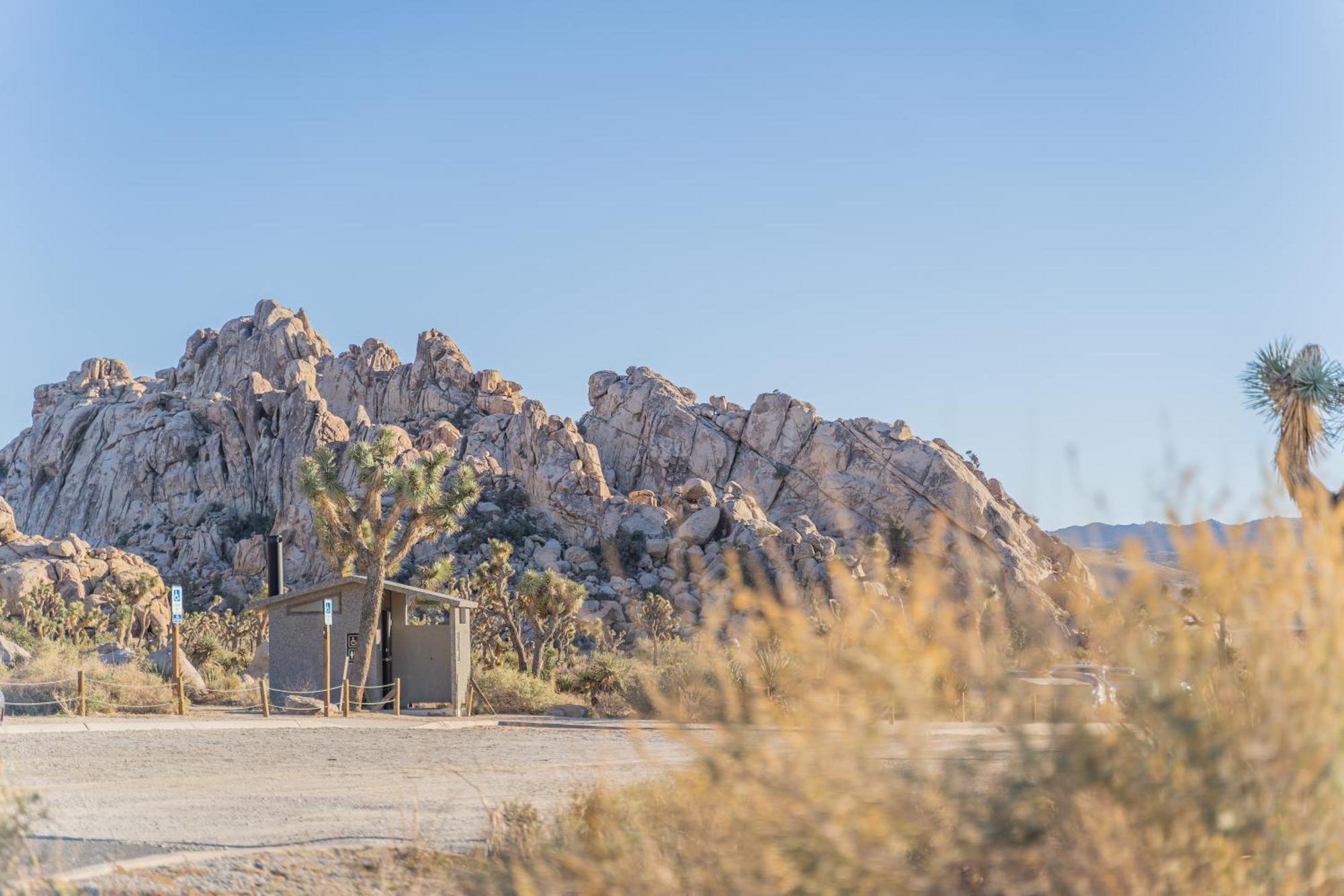 New Property! The Cactus Villas At Joshua Tree National Park - Pool, Hot Tub, Outdoor Shower, Fire Pit Twentynine Palms Exteriör bild
