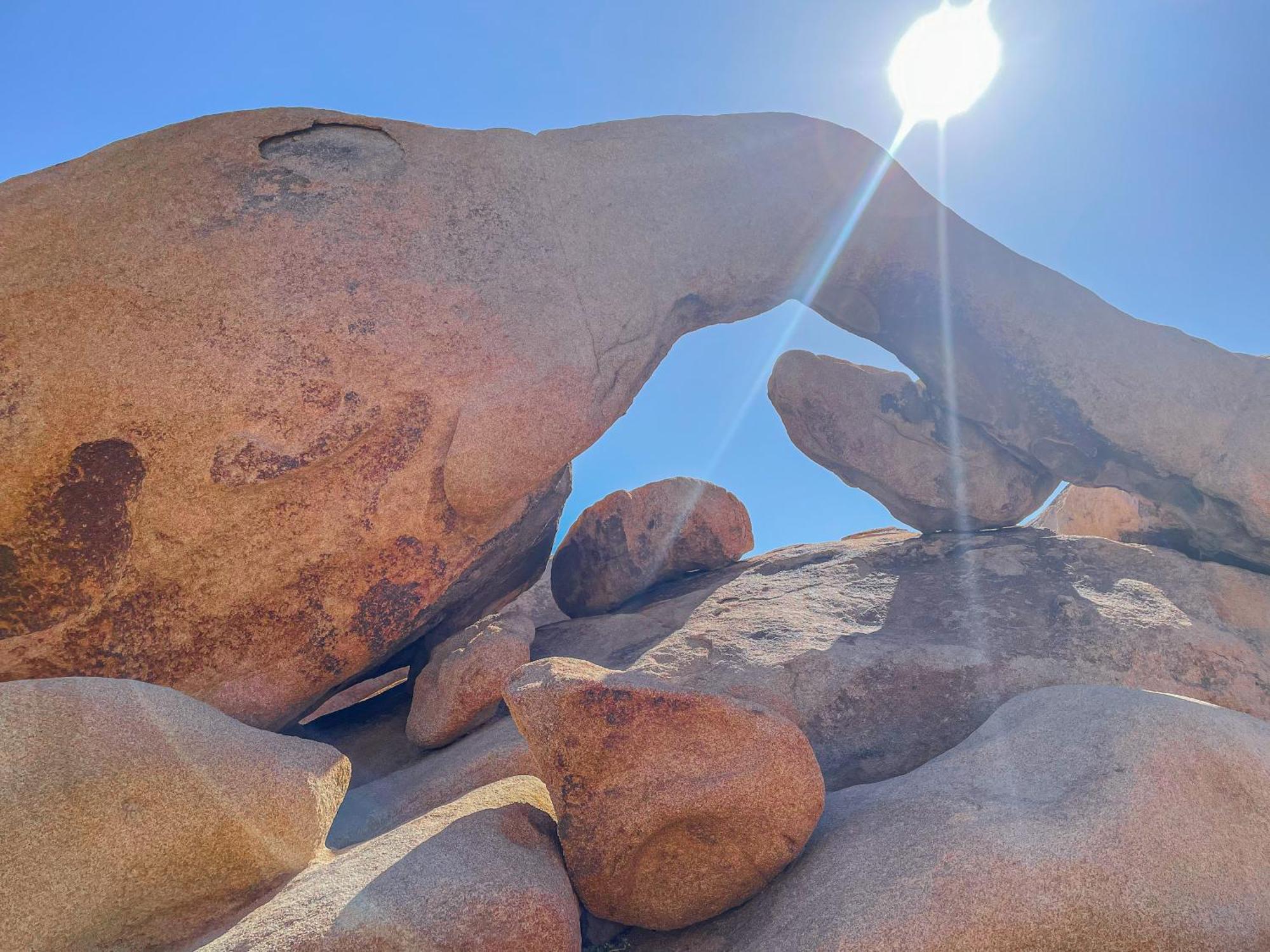 New Property! The Cactus Villas At Joshua Tree National Park - Pool, Hot Tub, Outdoor Shower, Fire Pit Twentynine Palms Exteriör bild